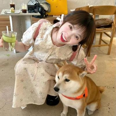 火爆群龙2